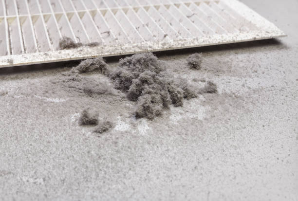 Best Air Vent Cleaning Services  in Colville, WA