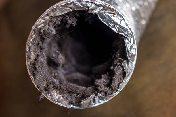 Best Duct Cleaning Specialists  in Colville, WA